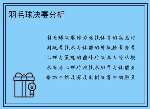 羽毛球决赛分析