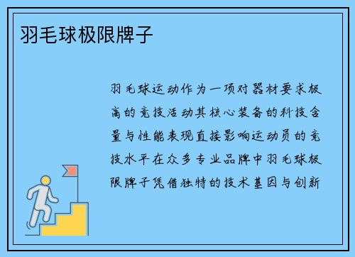 羽毛球极限牌子
