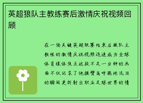 英超狼队主教练赛后激情庆祝视频回顾